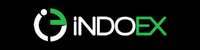 Indoex Logo