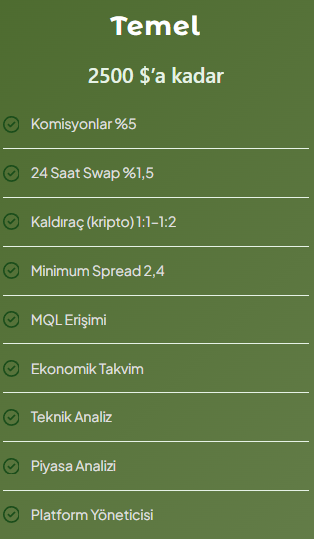 totem capital hesap türleri