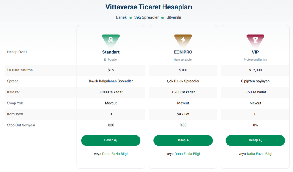 vittaverse hesap türleri