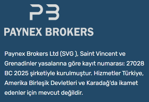 paynex brokers lisans